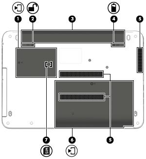 Undersidan Komponent Beskrivning (1) Servicelucka Ger tillgång till platserna för WLAN-modul, WWAN-modul och SIM-kort.