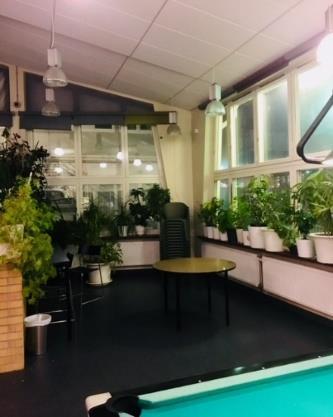 Sofielunds fritidsgård Fritidsgården ligger intill Sofielundsskolan i Södra innerstaden. Målgruppen är 10 16 år under tiden för observationerna. Det är öppet alla dagar mellan 14.00-21.