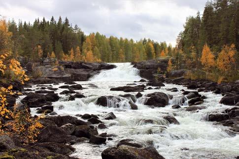 Välkomna till oss! Här kan ni ströva över broar längst sjön i stenåldersmiljö runt rogivande Knortmon.