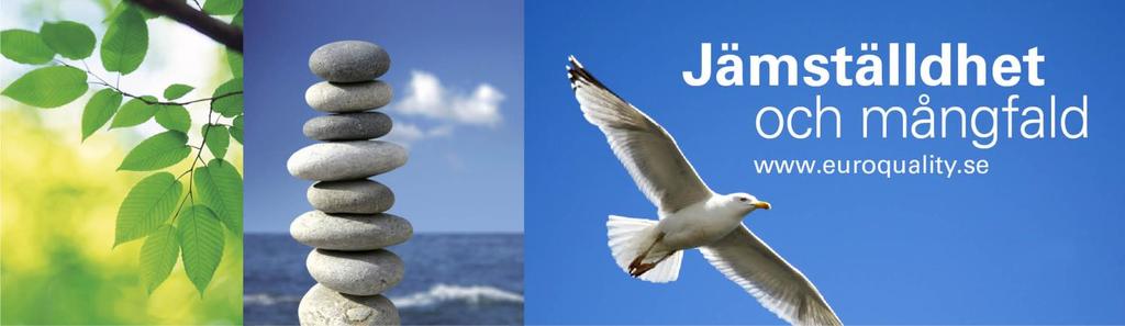 Nyhetsbrev juni-juli 2019 Välkommen till ett nyhetsbrev som innehåller korta nyheter, råd och tips om social hållbarhet, jämställdhet, mångfald och inkludering.