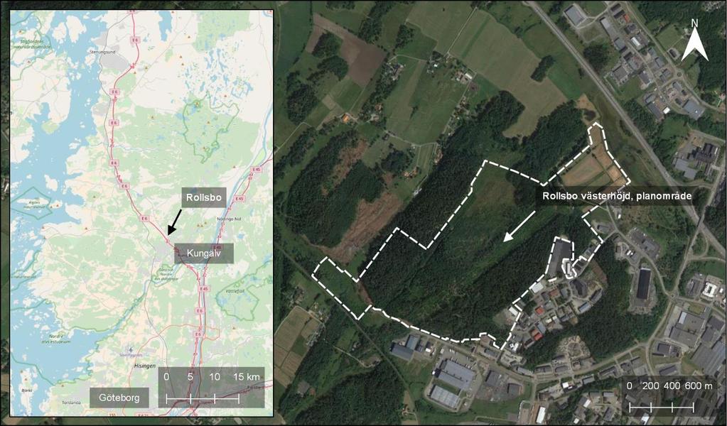 Introduktion Uppdrag och områdesbeskrivning Norconsult AB har på uppdrag av Ytterbygg AB, utfört en utredning av bergstabilitet och blockutfallsrisk för Detaljplan Rollsbo Västerhöjddel (del av 1:32,