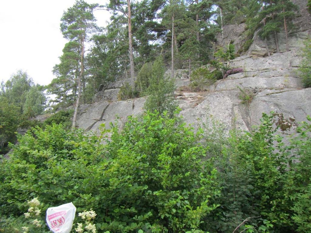 Släntområde 5 Slänten i område 4 övergår från att vara hög och brant till att i område 5 bli mera rundad,