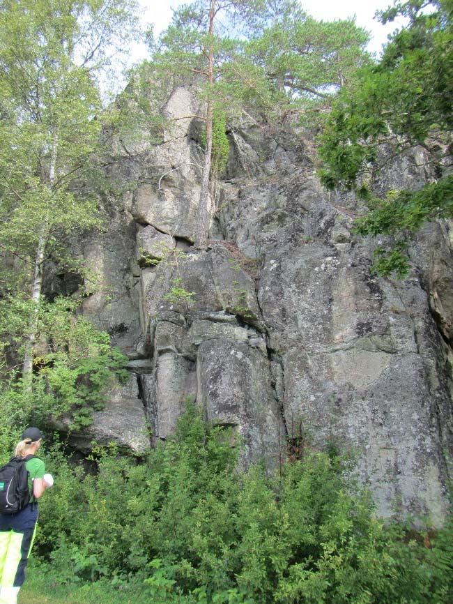Släntområde 6 Längre västerut blir berget återigen
