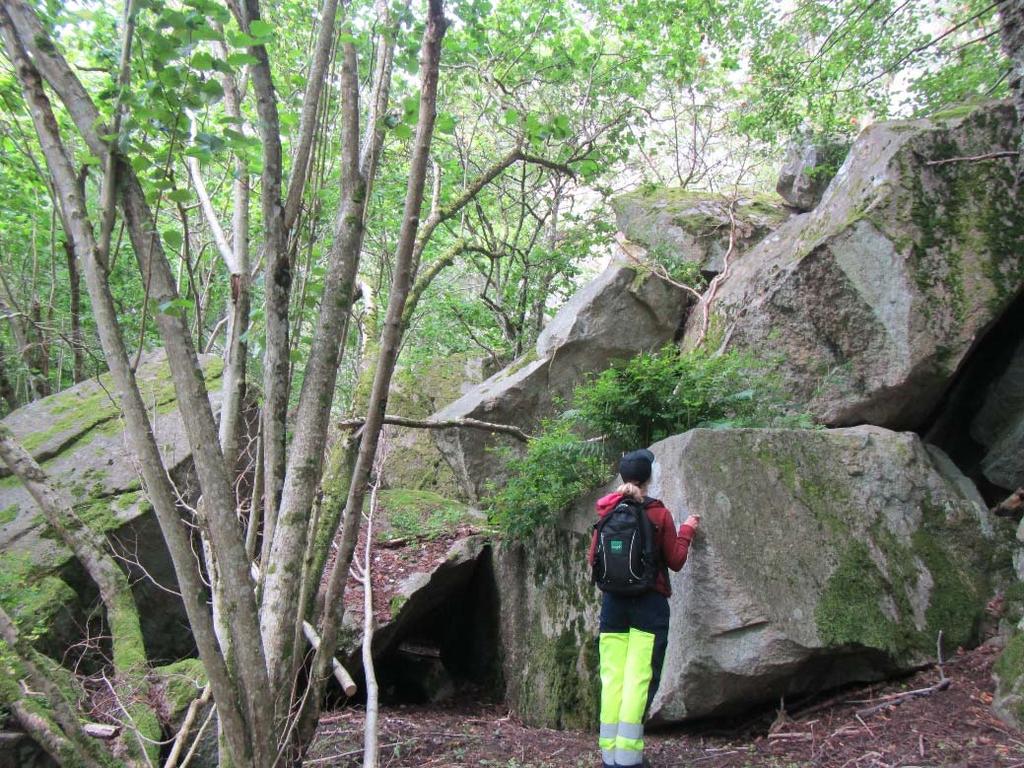 Släntområde 4 I område 4 är bergslänten högre än de österut.