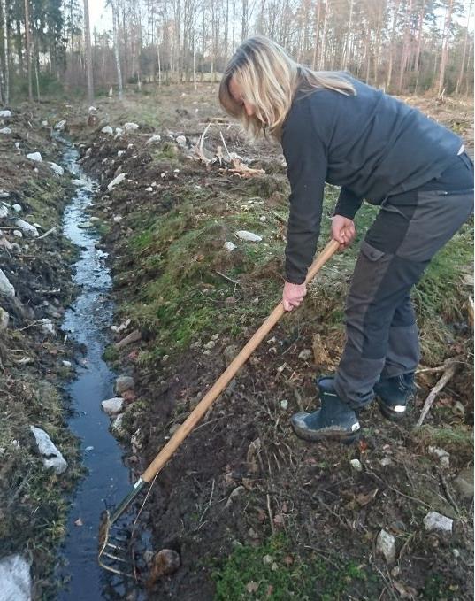 7.4 Årlig radiell tillväxt jämfört med före rensning Tabell 9.