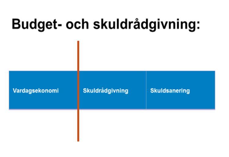 4 (14) Skuldrådgivning Skulder eller räkningar? Vi använder begrepp som löpande räkningar, övriga räkningar och skulder, se definitionerna på sidan 9.