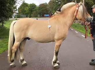 Mosby D-011392 u. Inka D-032991 mf.
