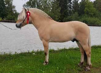 Pikant Halsnaes D 672 Emma Isacsson, Hässleholm Tel: 070-98 18 315 Hallands län (N) TheMa s Arv