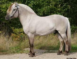 Baal 38 Susan Carlsson, Lerdala Tel: 073-15 35 197 Värmlands län (S) Chalander 259 född 2004, ljbrbl,