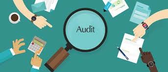 Prövarens skyldigheter Tillåta monitorering, audit och inspektion av företag och