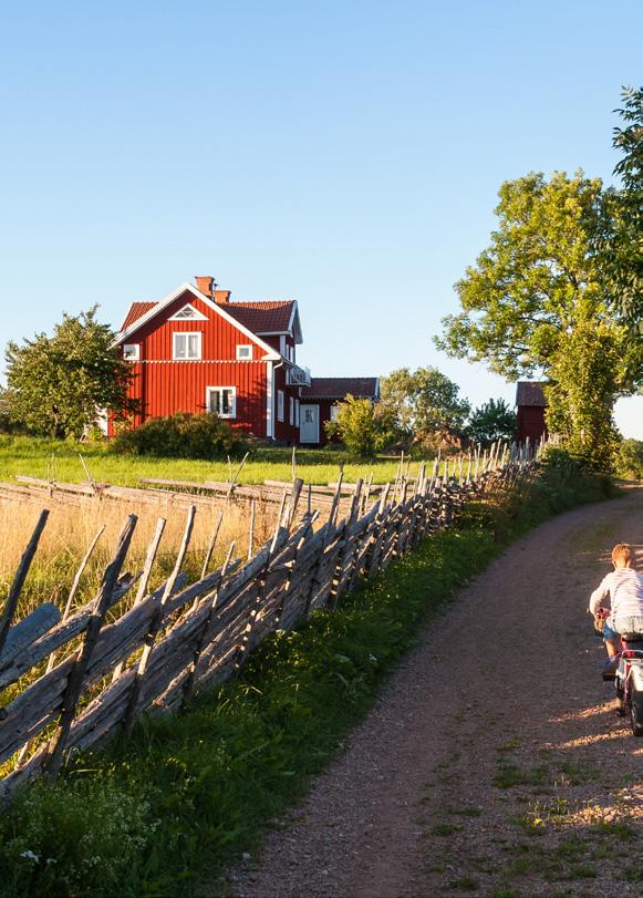 MED DIGITALISERING KAN HUSHÅLL OCH FÖRETAG PÅ LANDSBYGDEN FÅ
