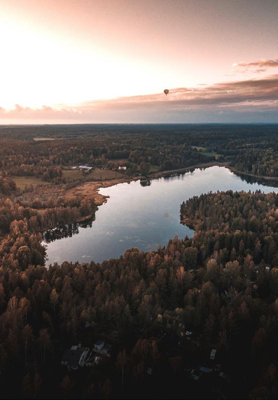 IT&TELEKOMFÖRETAGEN VILL BETONA BETYDELSEN AV ATT MARKNADENS AKTÖRER, REGERINGEN OCH DESS MYNDIGHETER, KOMMUNER OCH REGIONER ARBETAR ÄNNU