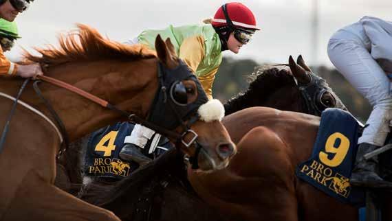BRO PARK Tävlingarna arrangeras av Svensk Galopp www.svenskgalopp.se e-post info@svenskgalopp.