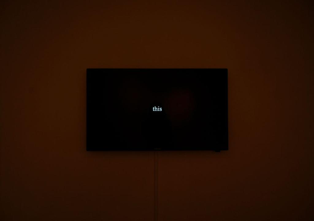 MAGNOLIA CLOCK KONSTFRÄMJANDET ÖREBRO (SOLO), 2012 GISLAVEDS KONSTHALL (SOLO), 2013 KARLSKRONA KONSTHALL (SOLO), 2013 HD-video, no sound (11 hours 17
