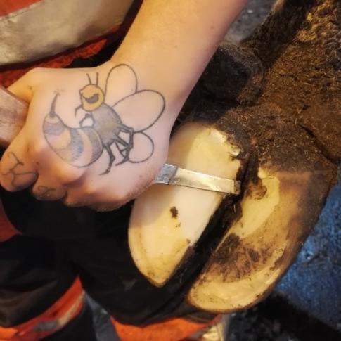 luftströmmen i klövspalten och håller