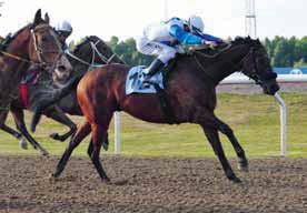 TIPS & RANK V & V5 BRO PARK BANKOD 8 AV ULF ZEIDER Lopp 1 - V-1 Lopp - V- Lopp 3 - V-3, SK Lopp - V- Lopp 5 - V5-1 Lopp - V5- Lopp 7 - V5-3 Lopp 8 - V5- Lopp 9 - V5-5 1 Castillo 8 Heman Cross 5