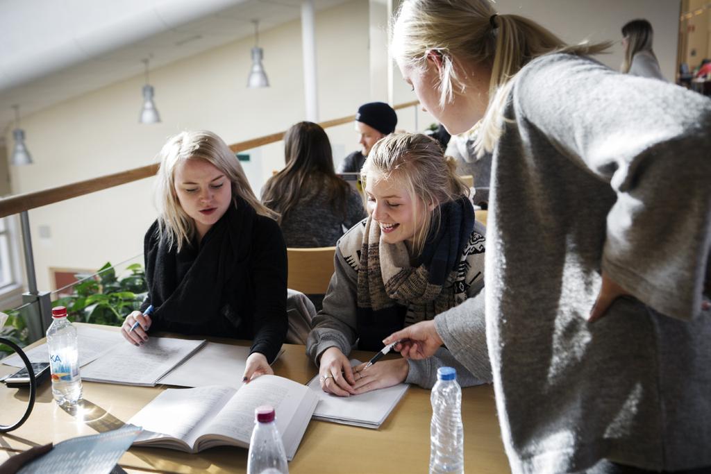 3 Ett självständigt arbete Vi erbjuder en spännande utbildning i en forskningsintensiv miljö med nära koppling till arbetslivet, men det är upp till dig att göra det bästa av den.