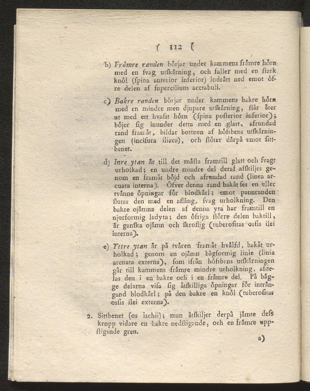 i>) t 112 ( Främre randen börjar under kammens främre Itora med en fvag utfkårning, och faller med en ilark knöl (fpina anterior inferior) lodrätt ned emot ofre delen af fupercilium acctabuli.