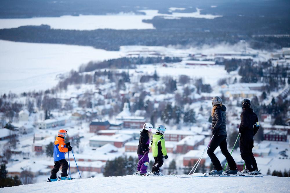 MALÅ Hotel & SkiEvent Hotellstuga