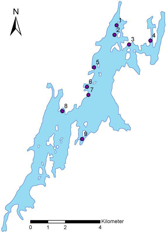 Figur 2. Nätens ungefärliga placering vid nätprovfiske under hösten 213.