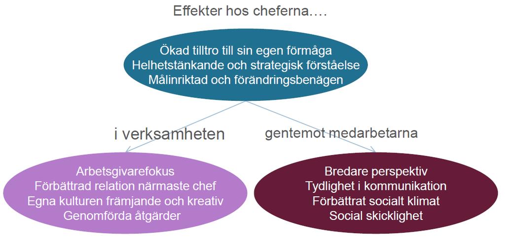 Resultat och effekter Noggranna uppföljningar av mätningar Vi vet att skapar värden för deltagaren, verksamheten och medarbetarna.