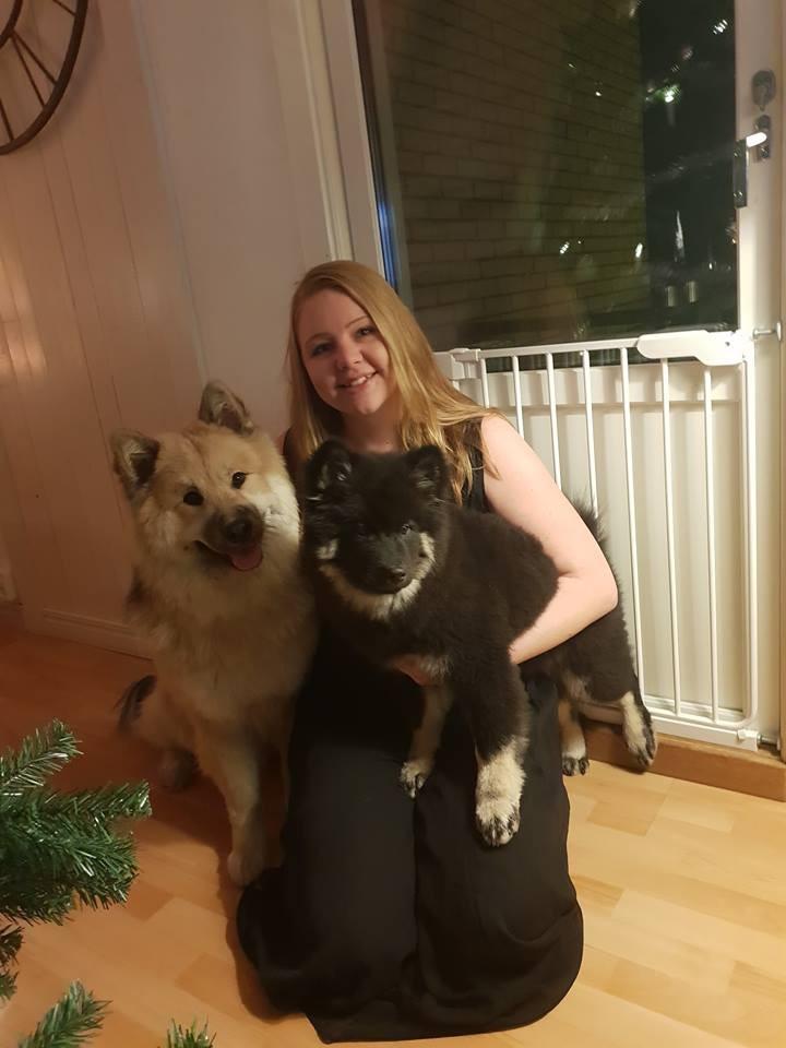 Ledamot nyval 2 år - Josephine Wistrand Jag heter Josephine Wistrand och bor i Ödeshög med Musse, i november flyttade även hans lilla syster Olea in hos oss.