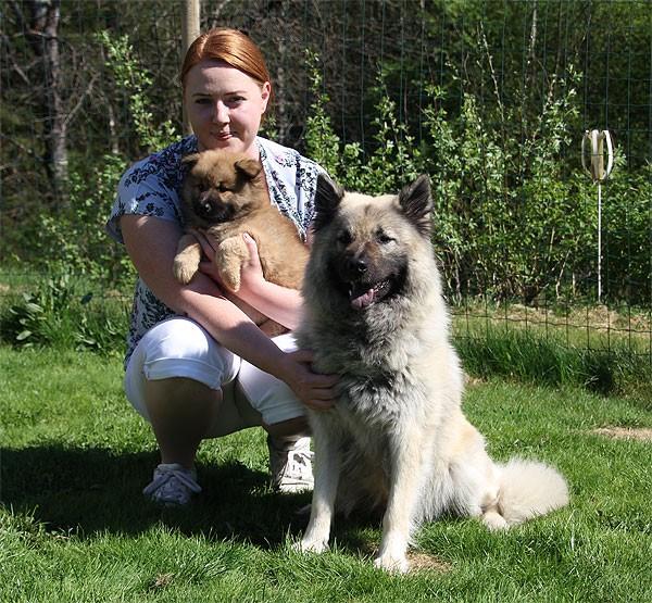 Suppleant nyval 1 år - Amanda Johnsson Jag heter Amanda Johnsson och är 25 år. Jag bor i Gislaved med min sambo Rickard, vår katt Nikki och våra tre eurasiertjejer Stella, Meija och Nova.