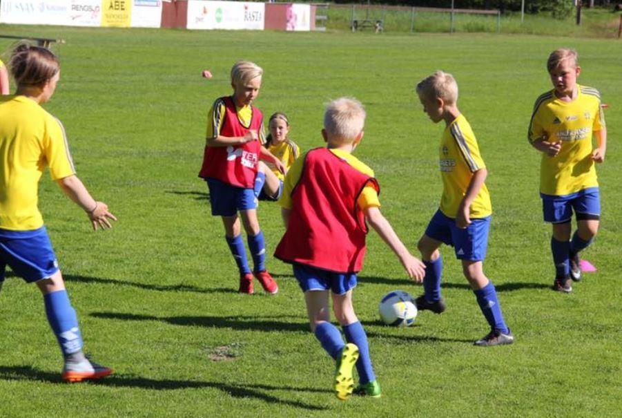 Pojk- och flicklagen Det var inte bara A-laget som blev seriesegrare 2017, även RSK:s duktiga F14-flickor vann sin serie och P15 kom på andra plats i sin serie.
