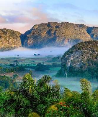 Dag 9 Vinales, Pinar del Rio - Havana 21 november Efter en tidig frukost är det dags att resa med buss för att upptäcka Vinalesdalen, ännu ett världsarv på Unescos lista.