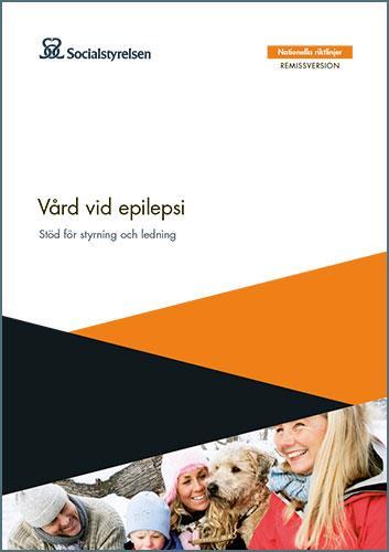 Vad ingår i nationella riktlinjer?