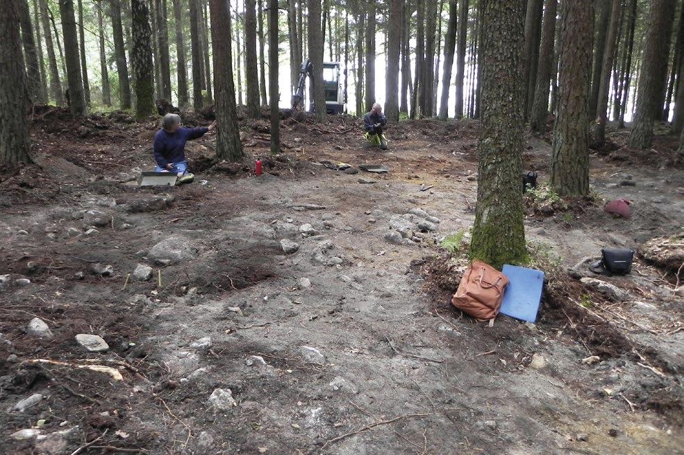 8 boplatserna är endast cirka 300 meter. Skee 54 har tolkats som en strandbunden och tillfällig bosättning använd i samband med jakt och/eller fiske (Nordell & Swedberg 2003).