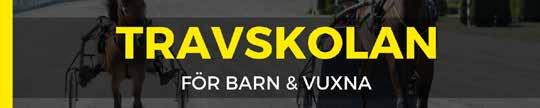 KVALLOPP KVALER VARMBLOD.,0 åriga.,0 åriga.,0 åriga & äldre.,0 montékval KVALER KALLBLOD.,0 åriga.0,0 åriga.,0 åriga & äldre.,0 montékval PREMIEER Varmblod åriga.,0.,0 Kallblod åriga.,0.0,0 OB!