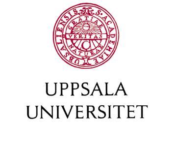 8.2. Bilaga 2. Frågeformulär Samtycke till deltagande i studien om utvärdering av BVC:s språkbedömning Frågor om barnet och barnets språkliga hemmiljö 1.