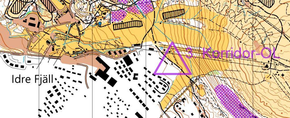 och riktning. Metod En korridor som går runt Idre fjäll. Skala 1:11 000 del.