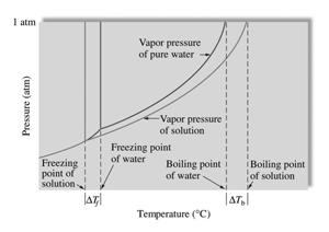 Fasdiagram för rent vatten och en vattenlösning Vattenlösningen innuti en växtcell har en koncentration av 0.25 m.