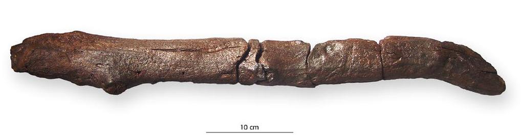 Fig. 12.