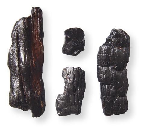 Fig. 13.