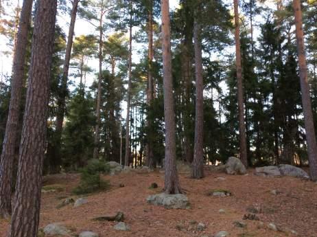 Naturvärdesobjekt 10: Barrblandskog 4 Visst naturvärde Säker Hanna Nilsson Skog och träd Barrblandskog Nej Förekomst av hällmark, block, äldre tall, liten mängd död ved och fuktsänka med gran.