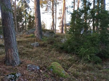 Naturvärdesobjekt 11: Blandskog 4 Visst naturvärde Säker Hanna Nilsson Skog och träd Blandskog Nej Förekomst av berghäll, block, äldre tall, ek och lite död ved.