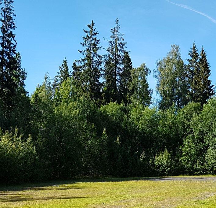 Orienterat mot söder blir parken en solig och skyddad plats,