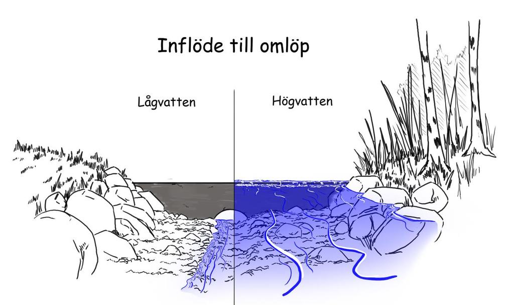 från Linnéasjömaden Nivå 0