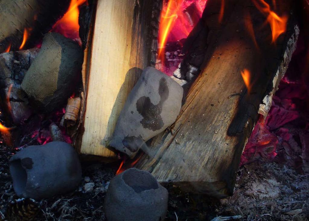 EXPERIMENTELLA FORSKNING VID VID TAMMIJÄRVI I I