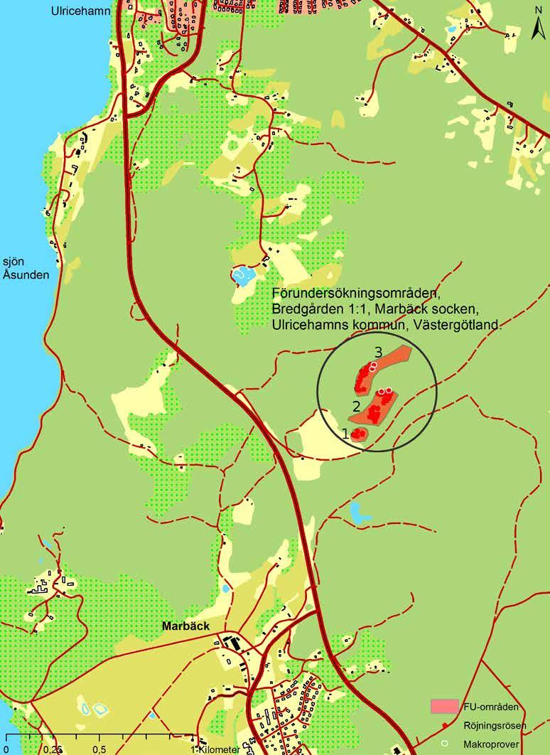 Tre röjningsröseområden på kalhygge i Marbäck socken 7 Figur 4.