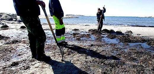 5 Arbetsmiljö All hantering av olja är att anse som farligt arbete. Därför ska en hög nivå på säkerhet hållas.