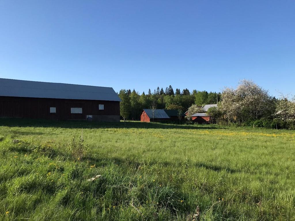 5 GEOTEKNISK KATEGORI Utförda undersökningar är utförda i enlighet med Geoteknisk kategori 2 för konstruktion/grundläggning. 6 BEFINTLIGA FÖRHÅLLANDEN 6.