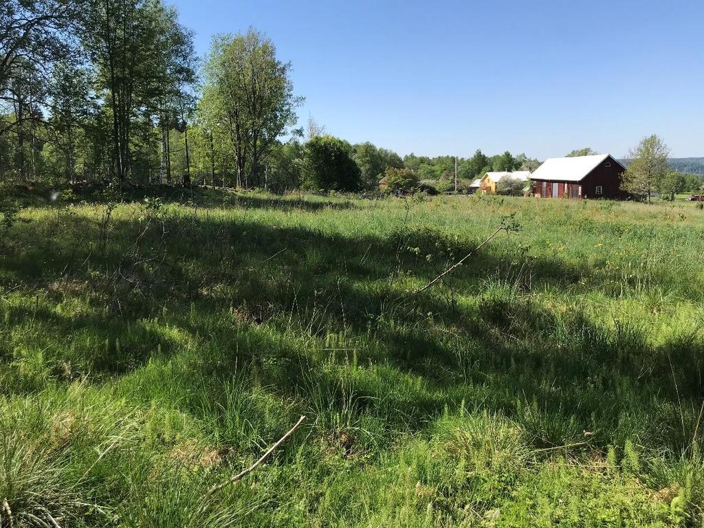 Figur 3. Bild tagen ungefär vid läget för undersökningspunkt 18T25 mot väst. Figur 4.