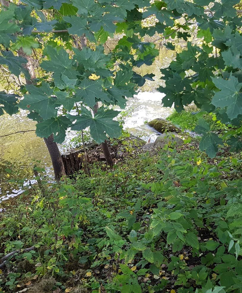 VARANNANTIMMESPROVTAGNING Kartläggning inkommande vatten - Ny provtagare till inkommande provtagning - 24 provflaskor i karusell - Provtagning gjordes ca 1 gång