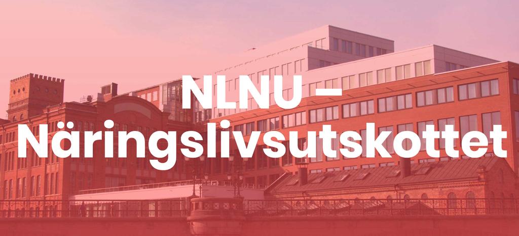 NLNU är länken mellan Norrköpings Lärarsektion och näringslivet.