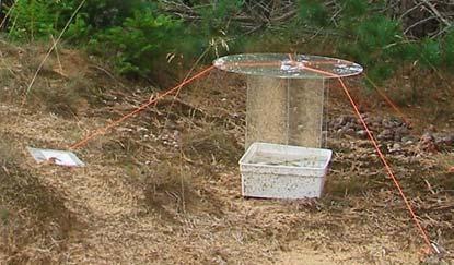 för att mäta resiliens inom pollinatörsfaunan. Slinginventering har också använts för andra insektsgrupper än dagfjärilar.