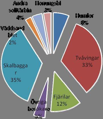 registrerades 18 blombesök i Västra Götalands län under 2010 (N=10) medan tidigare pollinatörsslingor i genomsnitt levererat 44 blombesök (N=348) (opublicerad data).